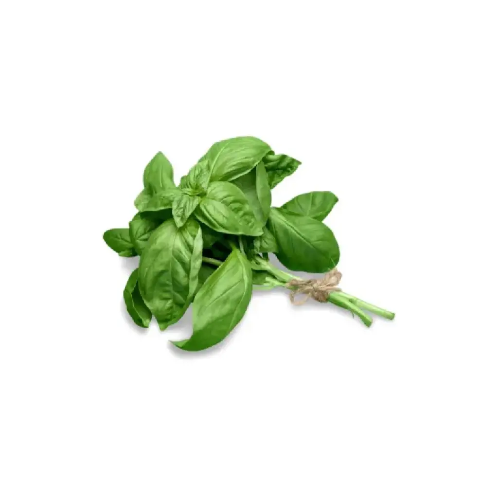 [SEED12] Albahaca