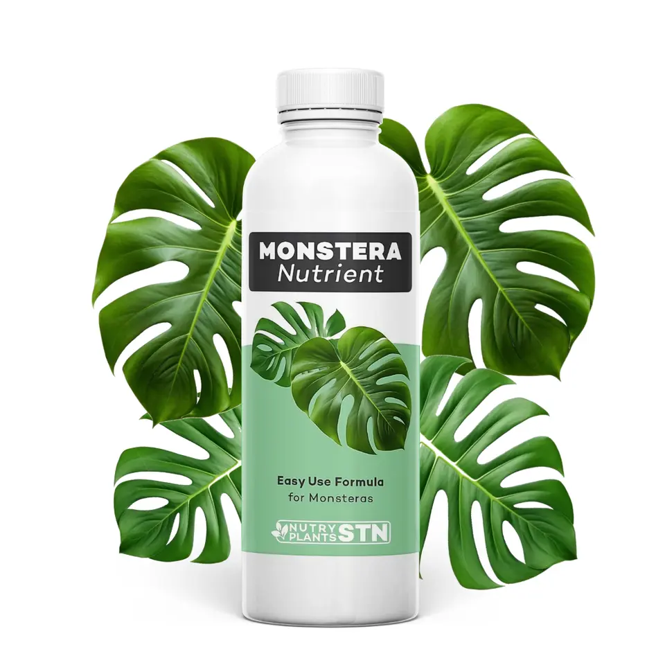Monstera Plant Food (200ml)